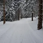 Apartment Grunwald Oberhof (Thuringia)