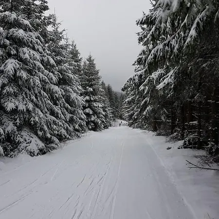 Grunwald Oberhof (Thuringia)