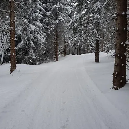Apartment Grunwald Oberhof (Thuringia)