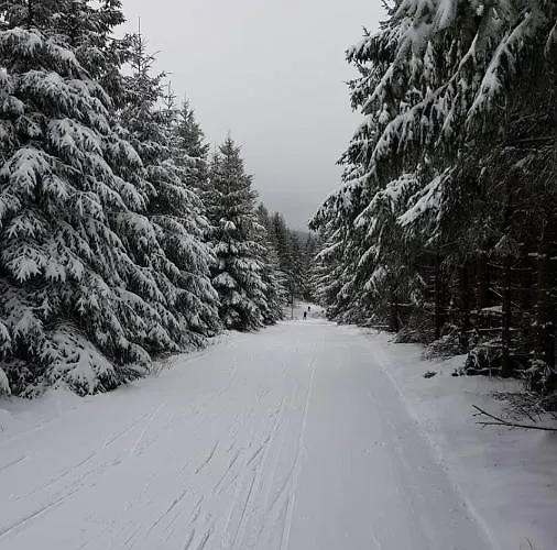 Grunwald Oberhof (Thuringia)