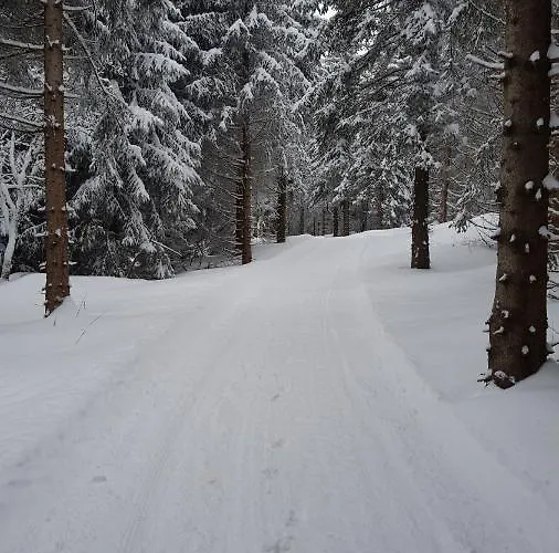 Apartament Grunwald Oberhof (Thuringia)