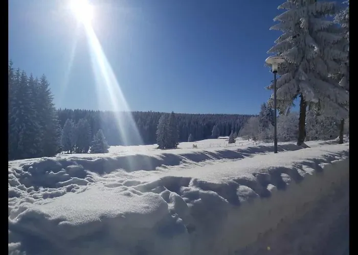 アパート Grunwald