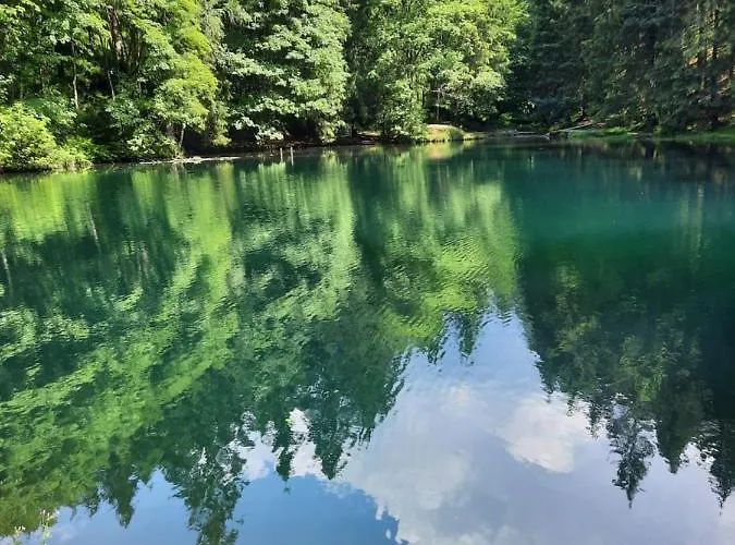 Grunwald アパート オーバーホーフ